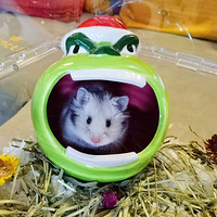 ��˿�ܲ��󱦱�