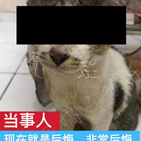 ˢֹȣӰ쵽ҹȻżǴģ