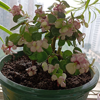 ���в�԰��