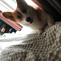 �����ֵ�µ��Ŀ»�����