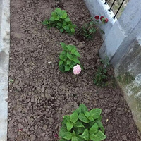 5�µף������޾��Ľ���߹�ʱ����