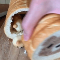 Щ˾޵