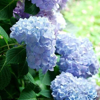 �����޼�������2��ϸ�ڣ����꿪�����ִ�