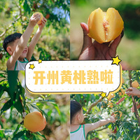 ܱΣݵĻˣʲ