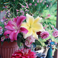 �ҵ���Щ��