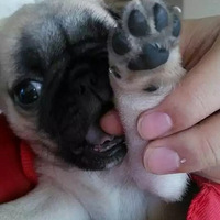 �����͸磬��һ��������ͥ����