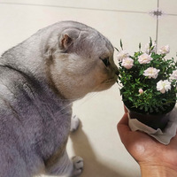 ΢���¼�����ȫ�ǿ�������