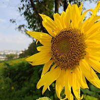 Ǳϵտֿáĩȥĵ7ڡ