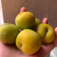 ҳԵ˽óԵķ