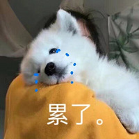 ¥¹Żݳ~50Ԫгȯͣ