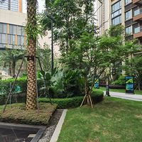 ��������ϸ����ڹ��ؿ����գ���û���ھ�һ��������