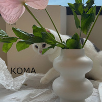 �Ŷ�������ǰ��֮����ҾߵĲ���ֹͣ����