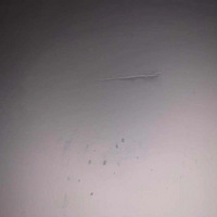 ���ӹγ���������