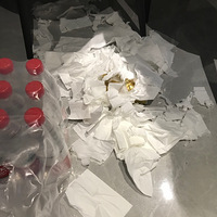 ����ֻè��������̳��һ��������������Щ����ͼ���˶�Ȱ����è