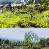 山һΣȸ԰֥ɭ֣ˡ