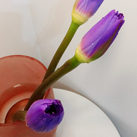 9.9Ԫ����ֵ�ߵ���ɫ˯������5֧