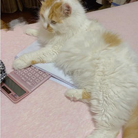 ������С�ٳ����� ��ֵ���Ҫ��Ϯ��