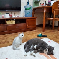 �ܼ�������Լ������