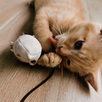 2���䣬���ÿɰ���è������˼�������Ը���и����ֵ�è��