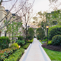 �ִ���Լ���ţ�ǿ��֢��װ��ĥ�£����Ӱ�װing