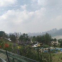 羰