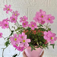 �ҵ������������Ѿ���ʼ��ѿ��