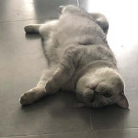 ��̥��ͥս����ʱ��ض��ᱬ�����������ܹ��̣����̫����