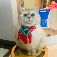 �뵳��ʽǰVS�뵳��