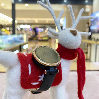 Garmin