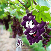 ſڵˣʹˣһ죬0.5h£