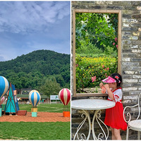 ȥwanghong޵غɫ׽ιϺͺ