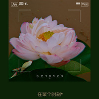 ·ֵĺɻٴһƬС