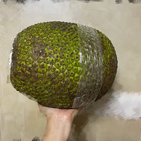 Ѽſ͡20˺ôһۣ