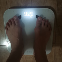 쿪ʼ򿨼56kgݵ52kgΪ֤ϲ