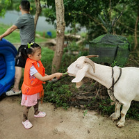 ɽ˹԰29.9Լ۱ȳߵĿ