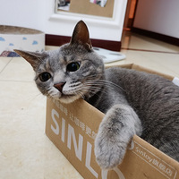 ��ô������ôϲ��ֽ���ӵ�Сè��