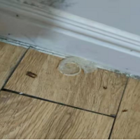 10±ھƵùıףƵ꣺թ