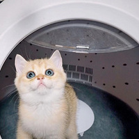 �����ڵ�ë�����ǣ�markһ�£�