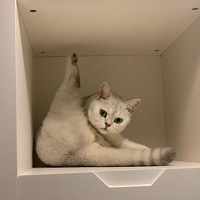 ���ϰ��˻��� ���������չʾ����ٲ���