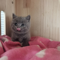 �����и�С�����ڿ�����Ŷ