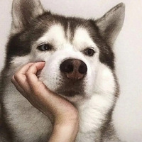 :ûͼظ:ûȤͼ