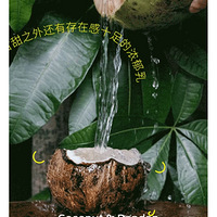 ѩҬ̫ˣԱ˵ϻˣֻܵȡ
