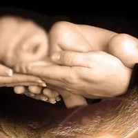 ϰ׹ͥԵĶ񶾶ԭͥĴ