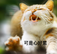 ��ֵ���ղ�ϵ�С���һ���´�ƽ�����У��޽�������լ