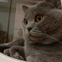 �����ӵ�����