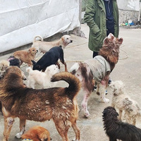 ռǡһˮһǻ¡·һůǰС