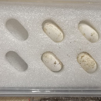 ˹군ؼҷhappyСѾ˳