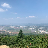 컯ˣӭ41ȸ£ʵ÷ָһҪ