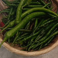 �ݶ���԰�ջ�������