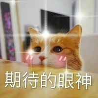 Ϧɶó¹getһݱ嵥~